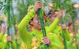 Mãn nhãn với những vũ điệu đường phố rực rỡ mở màn Carnaval Hạ Long 2019