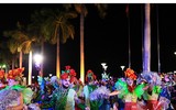 Du khách phấn khích với Lễ hội Carnival đường phố DIFF 2019