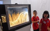 Con người ở đâu trong 