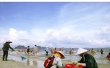 Những 