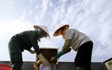 Những 