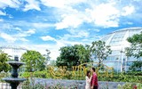 Vượt biển khám phá Vương quốc hoa hồng – trải nghiệm mới cực ngọt ngào tại Nha Trang