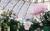 Vượt biển khám phá Vương quốc hoa hồng – trải nghiệm mới cực ngọt ngào tại Nha Trang