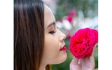 Vượt biển khám phá Vương quốc hoa hồng – trải nghiệm mới cực ngọt ngào tại Nha Trang