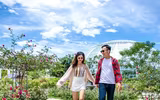 Vượt biển khám phá Vương quốc hoa hồng – trải nghiệm mới cực ngọt ngào tại Nha Trang