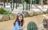 Khám phá khu vườn 