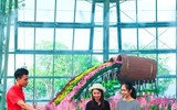 Khám phá khu vườn 