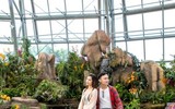 Khám phá khu vườn 