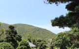 Khám phá khu vườn 