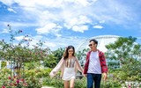 Khám phá khu vườn 