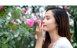 Khám phá khu vườn 