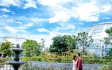 Khám phá khu vườn 