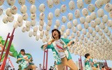 Hai đại võ sĩ sumo nổi tiếng Nhật Bản bất ngờ xuất hiện tại Việt Nam