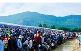 Tưng bừng Lễ hội đua bò Bảy Núi cùng Number 1 Cola