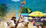 Tưng bừng Lễ hội đua bò Bảy Núi cùng Number 1 Cola