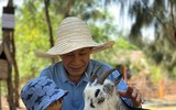 Thu hút hàng vạn lượt khách, vườn thú bán hoang dã tại Quy Nhơn có gì lạ?