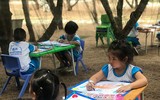 Thu hút hàng vạn lượt khách, vườn thú bán hoang dã tại Quy Nhơn có gì lạ?
