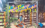 Thu hút hàng vạn lượt khách, vườn thú bán hoang dã tại Quy Nhơn có gì lạ?