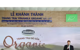 Khám phá trang trại Vinamilk Organic chuẩn châu Âu trên cao nguyên Đà Lạt