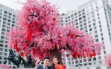 Những không gian check in xuân 
