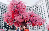 Những không gian check in xuân 