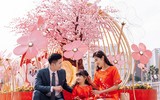 Những không gian check in xuân 