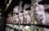Lợn đất Bát Tràng rộn ràng đón xuân