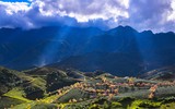 Ngắm mai anh đào nở giữa núi rừng Tây Bắc