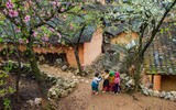 Lạc giữa thiên đường hoa Tây Bắc trên cao nguyên Vân Hồ