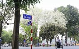 Hà Nội đẹp dịu dàng mùa hoa tháng 3