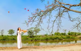 Mê mẩn với hoa gạo nở đỏ rực