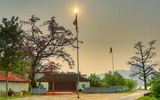Mê mẩn với hoa gạo nở đỏ rực