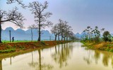 Mê mẩn với hoa gạo nở đỏ rực