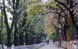 Hà Nội khoảnh khắc giao mùa