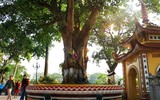 Chùa Trấn Quốc - vẻ đẹp trầm mặc