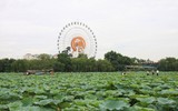 Sắc màu hồ Tây