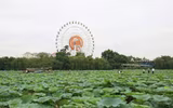 Sắc màu hồ Tây