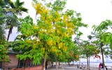 Sắc màu hồ Tây