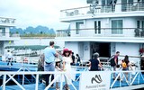2 ngày 1 đêm trên du thuyền 5 sao giữa biển trời Hạ Long