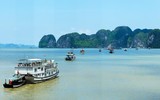 2 ngày 1 đêm trên du thuyền 5 sao giữa biển trời Hạ Long