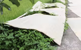 Chiếu cói Tân Lễ lưu giữ hồn quê