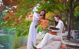 Hà Nội mùa phượng vĩ