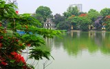 Hà Nội mùa phượng vĩ