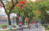 Hà Nội mùa phượng vĩ