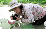 Hoa sen và thông điệp về tình yêu thương