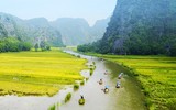 Khám phá mùa vàng tam cốc