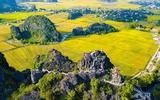 Khám phá mùa vàng tam cốc