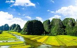 Khám phá mùa vàng tam cốc
