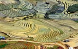 Ruộng bậc thang mùa nước đổ