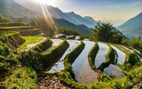 Ruộng bậc thang mùa nước đổ